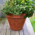 Dad Personalised Plant Pot